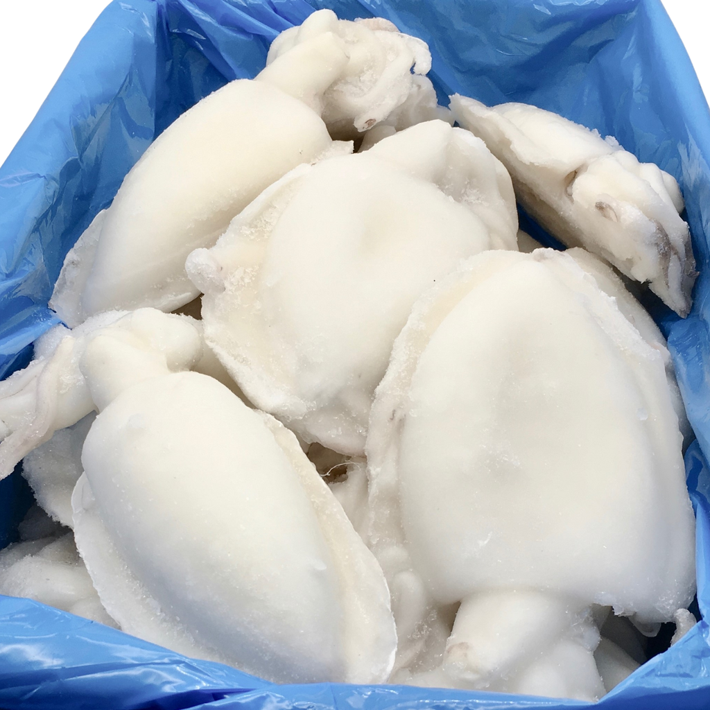 Seawork Sepia Entero 整个墨鱼 13/20 800g*6u Caja